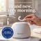 The Daily Smile Restorer by Salovin™ | Two attacks. One cycle. Brand new.